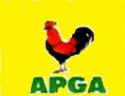 All Progressives Grand Alliance