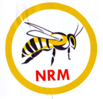 National Rescue Movement